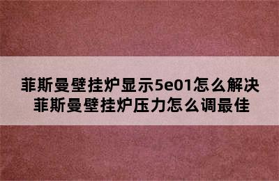 菲斯曼壁挂炉显示5e01怎么解决 菲斯曼壁挂炉压力怎么调最佳